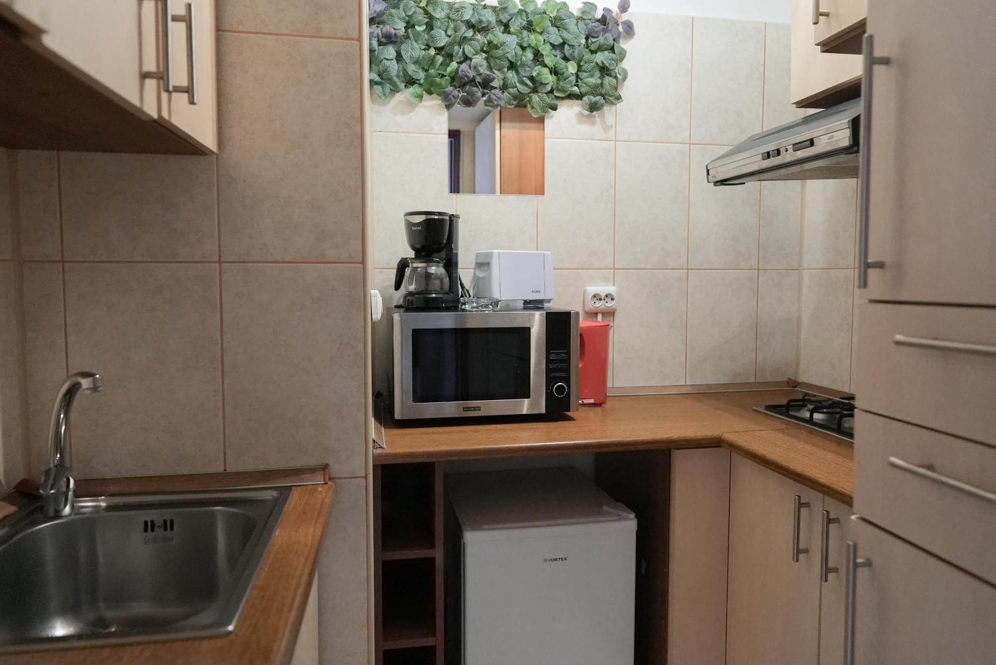 Victoria Avenue Apartments ブカレスト 部屋 写真
